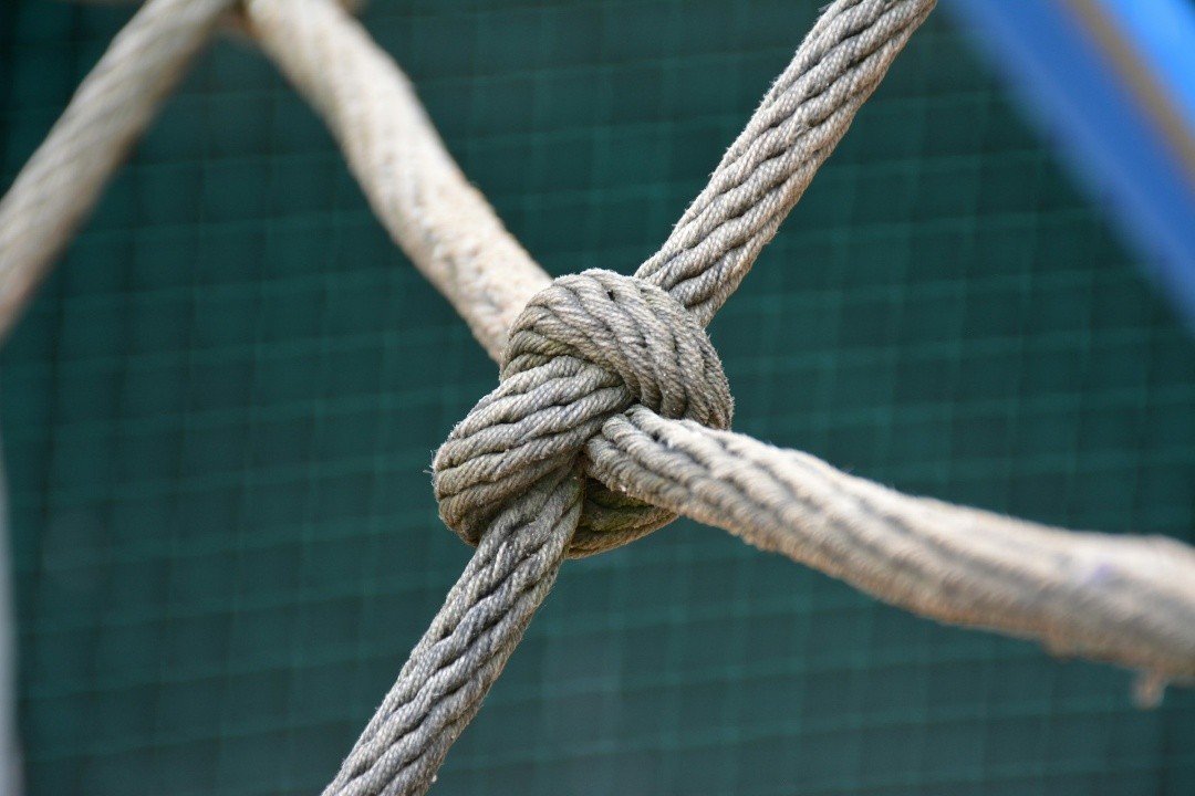 The All-in-One Solution: How Scale Computing Simplifies IT for Companies